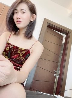 Ladyboy Ann Thai - Transsexual escort in Al Manama Photo 8 of 8