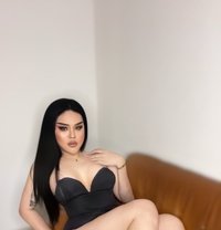 Ladyboy at the Biggest Dick in Doha - masseuse in Doha