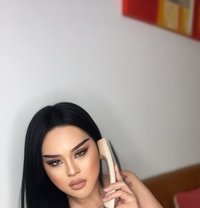 Ladyboy at the Biggest Dick in Doha - masseuse in Doha