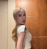 Ladyboy available - Transsexual escort in Al Manama