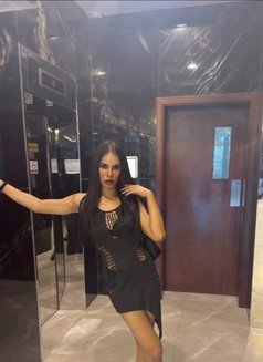 Model Ladyboy Bahrain 🇧🇭 🇹🇭 - Acompañantes transexual in Al Manama Photo 6 of 12