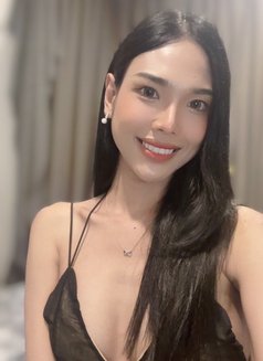 Ladyboy Bangkok Escort Gina - Transsexual escort in Bangkok Photo 14 of 15
