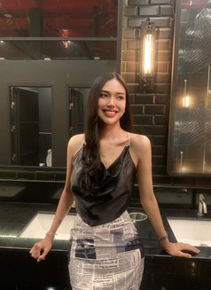 Ladyboy Bangkok Escort Gina - Transsexual escort in Bangkok Photo 15 of 15