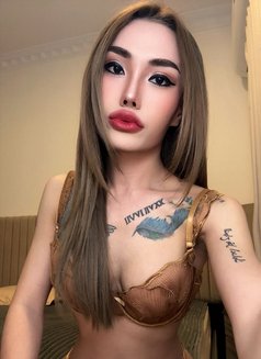 Big cock both - Transsexual escort in Khobar Photo 7 of 9