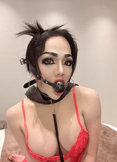 New shemale both Bahrain 🇧🇭🇹🇭 - Transsexual adult performer in Al Manama Photo 1 of 8