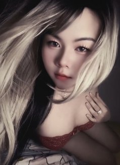 Ladyboy Chubby - Transsexual escort in Ho Chi Minh City Photo 6 of 8