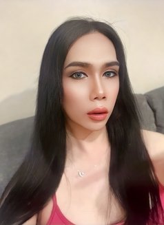 Ladyboy 🇹🇭 good top cock 7’ - Transsexual escort in Chiang Mai Photo 15 of 26