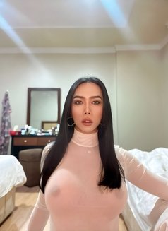 Ladyboy 🇹🇭 good top cock 7’ - Transsexual escort in Chiang Mai Photo 21 of 26