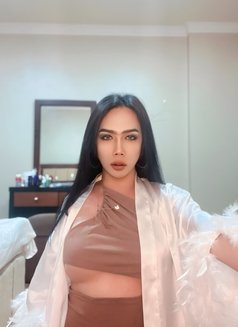 Ladyboy 🇹🇭 good top cock 7’ - Transsexual escort in Chiang Mai Photo 23 of 26