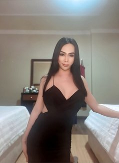 Ladyboy 🇹🇭 good top cock 7’ - Transsexual escort in Chiang Mai Photo 24 of 26