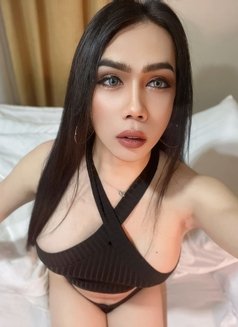 Ladyboy 🇹🇭 good top cock 7’ - Transsexual escort in Chiang Mai Photo 26 of 26