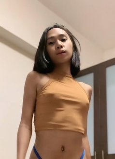 MEET AND CAM SHOW - Transsexual escort in Manila Photo 3 of 5