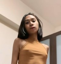 MEET AND CAM SHOW - Acompañantes transexual in Manila