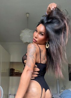 Ladyboy Filipina Mandy - Acompañantes transexual in Rome Photo 27 of 27