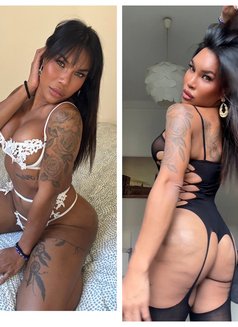 Ladyboy Filipina Mandy - Transsexual escort in Milan Photo 24 of 24