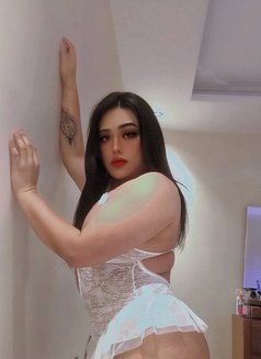 Ladyboy for Thailand in khobar - Acompañantes transexual in Khobar Photo 9 of 10