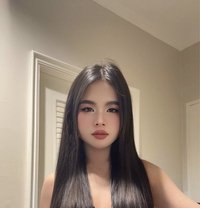 Ladyboy Form Thailand - Transsexual escort in Doha