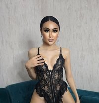 Ladyboy from Nana,Sukhumvit Thailand 🇹 - Transsexual escort in Al Manama