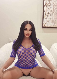 CINDY Ladyboy From Thailand 🇹🇭 - Transsexual escort in Riyadh Photo 2 of 7