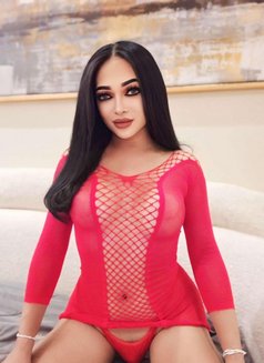 CINDY Ladyboy From Thailand 🇹🇭 - Transsexual escort in Riyadh Photo 4 of 7