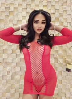 CINDY Ladyboy From Thailand 🇹🇭 - Transsexual escort in Riyadh Photo 6 of 7