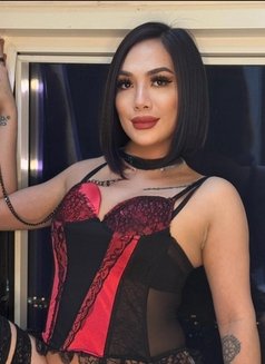 LADYBOY FUCK your WIFE🇵🇭(JVC) - Transsexual escort in Dubai Photo 11 of 25