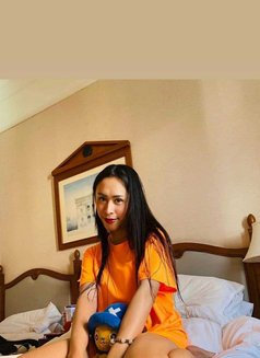 LADYBOY FULLY FUNCTIONAL - Transsexual escort in Ho Chi Minh City Photo 11 of 12