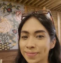 Ladyboy Gladys Available for a Beginner - Transsexual escort in Jakarta