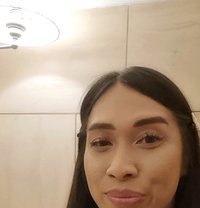 Ladyboy Gladys Available for a Beginner - Transsexual escort in Jakarta