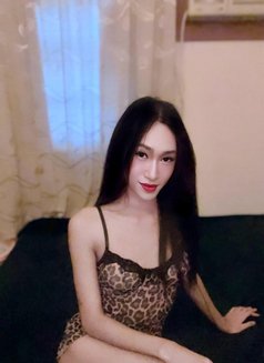 Ladyboy good massage - Transsexual escort in Muscat Photo 4 of 11