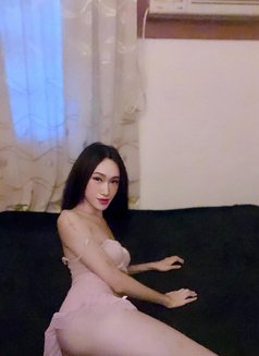Ladyboy good massage - Transsexual escort in Muscat Photo 10 of 11