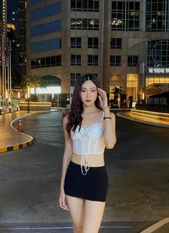 Ladyboy good massage - Transsexual escort in Muscat Photo 11 of 11
