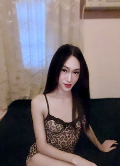 Ladyboy Good Massage, Vip Service - Transsexual dominatrix in Bangkok Photo 1 of 7