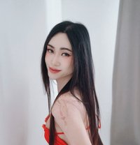 Ladyboy Vip Service,BKK - Transsexual escort in Bangkok Photo 1 of 8