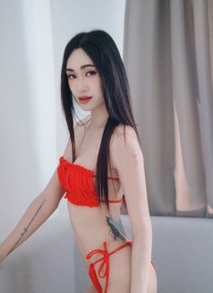Ladyboy Good Massage, Vip Service - Transsexual escort in Bangkok Photo 5 of 8