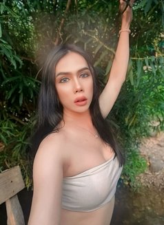 Ladyboy 🇹🇭 good top bigcock 7’ - Transsexual escort in Al Manama Photo 24 of 25