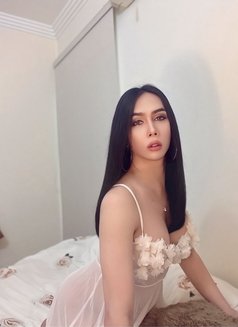 Ladyboy 🇹🇭 good top bigcock 7’ - Transsexual escort in Al Manama Photo 30 of 30