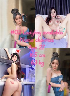 Ladyboy group sex - Acompañantes transexual in Pattaya Photo 17 of 18