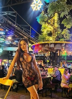 Alis Ladyboy Hard Top in Bkk - Transsexual escort in Bangkok Photo 5 of 7