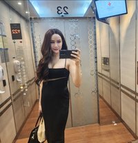 Rosesarin ladyboy 🇹🇭 - Transsexual escort in Abu Dhabi