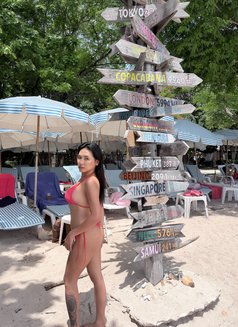 Ladyboy Janine - Transsexual escort in Kuala Lumpur Photo 5 of 9