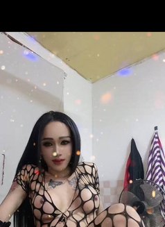 Ladyboy Keo - Transsexual escort in Phnom Penh Photo 3 of 13
