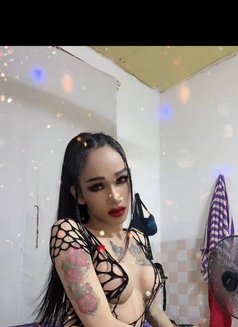 Ladyboy Keo - Transsexual escort in Phnom Penh Photo 6 of 13