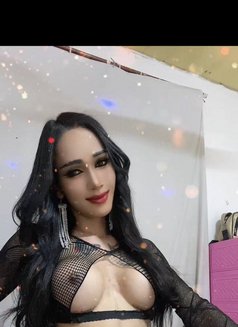 Ladyboy Keo - Transsexual escort in Phnom Penh Photo 7 of 13