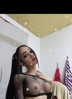 Ladyboy Keo - Transsexual escort in Phnom Penh Photo 9 of 13