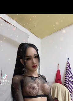 Ladyboy Keo - Transsexual escort in Phnom Penh Photo 10 of 13