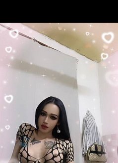 Ladyboy Keo - Transsexual escort in Phnom Penh Photo 11 of 13