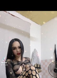 Ladyboy Keo - Transsexual escort in Phnom Penh Photo 12 of 13