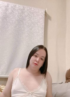 Ladyboy Kia - Transsexual escort in Riyadh Photo 5 of 6