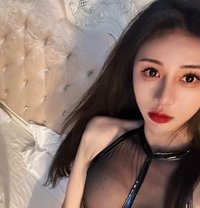 Ladyboy Lucky2 - Transsexual escort agency in Shenzhen